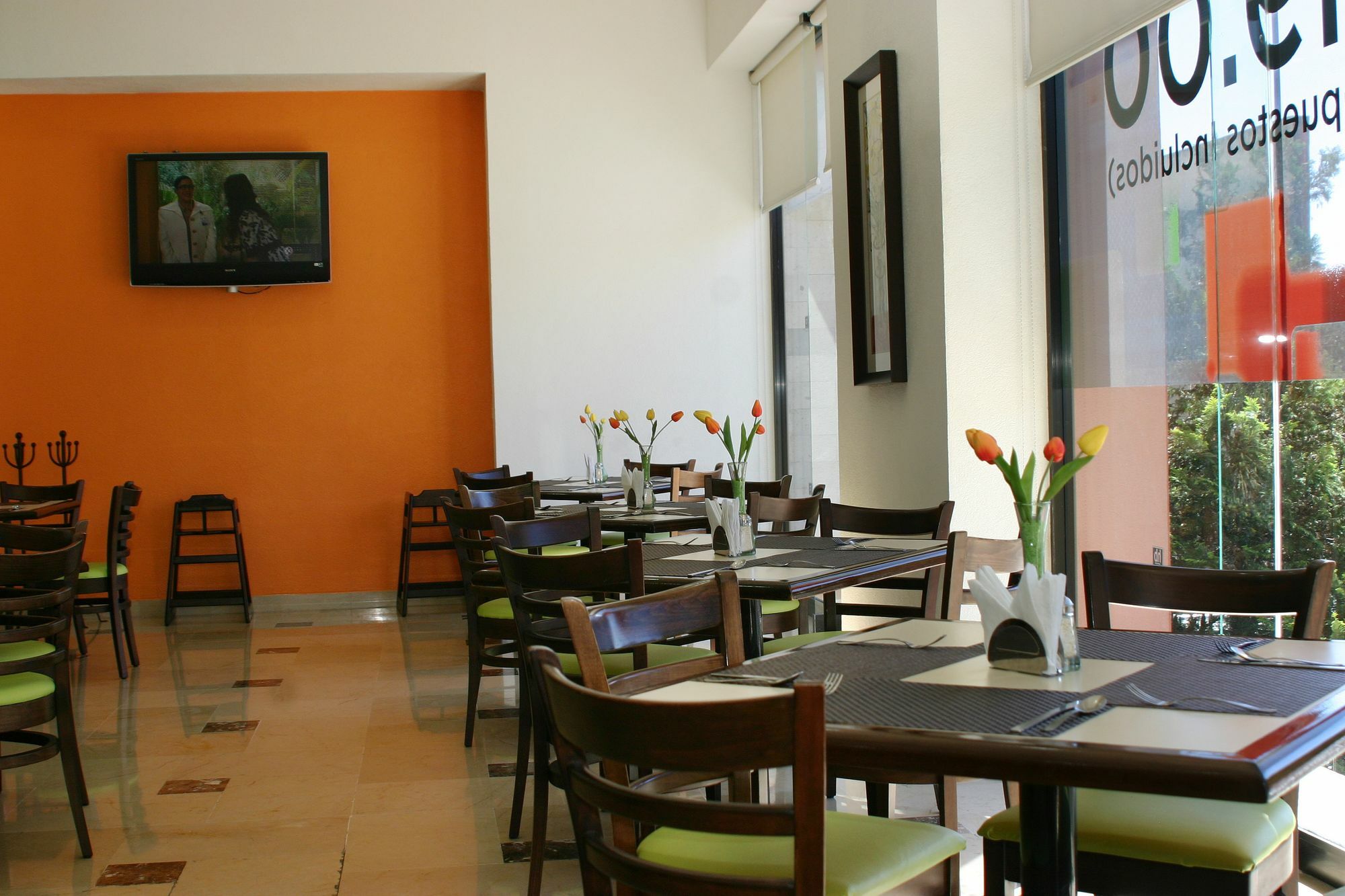 Hb 4* Xalapa
